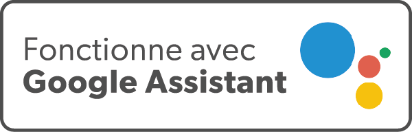 Google Assistant